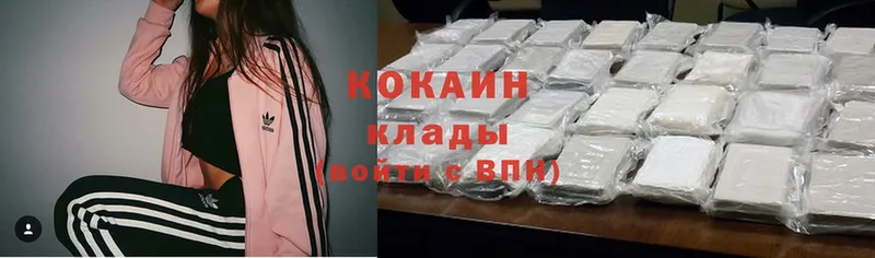 Cocaine Перу  что такое наркотик  Пудож 