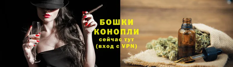 где найти наркотики  Пудож  Марихуана Ganja 